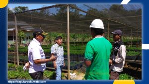 Kades Wonggarasi Barat Apresiasi Program 11 Juta Pohon dari PT IGL dan PT BTL