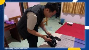 Operasi Pekat Otanaha II, Polda Gorontalo Amankan Pasangan Suami Istri Bawa Senjata Tajam