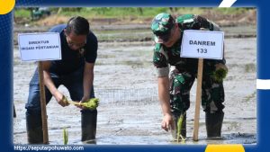 KTU Ditjen Lahan dan Irigasi Kementan Apresiasi Keberhasilan Irigasi Perpompaan di Desa Balayo Patilanggio