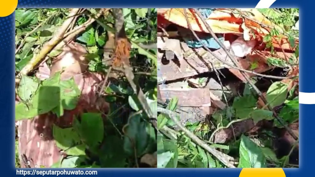 Breaking News! Hutan Desa Karya Baru Telan Korban, 6 Tukang Sensor Tewas Tertimpa Pohon, 1 Selamat