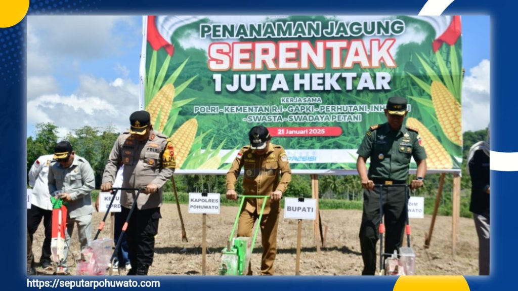 Lewat Penanaman Jagung Serentak 1 Juta Hektare, Pohuwato Siap Jadi Pelopor Ketahanan Pangan