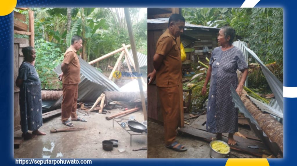 Pohon Kelapa Tumbang Timpa Rumah Warga di Wanggarasi Barat Lemito