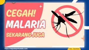 1.541 Kasus Malaria di Pohuwato, Anak-Anak dan Perempuan Ikut Terpapar