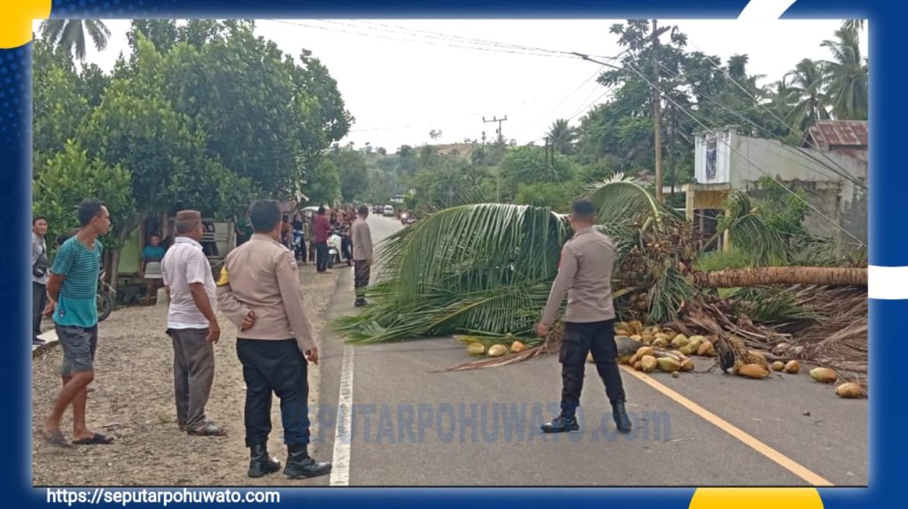 Pohon Tumbang Timpa Kabel PLN, Kapolres Pohuwato Imbau Pengendara Hindari Jalur Atas Desa Iloheluma