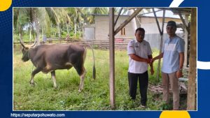 Sejumlah Perusahaan hingga Ritel Nasional Berikan Hewan Kurban ke Pemkab Pohuwato