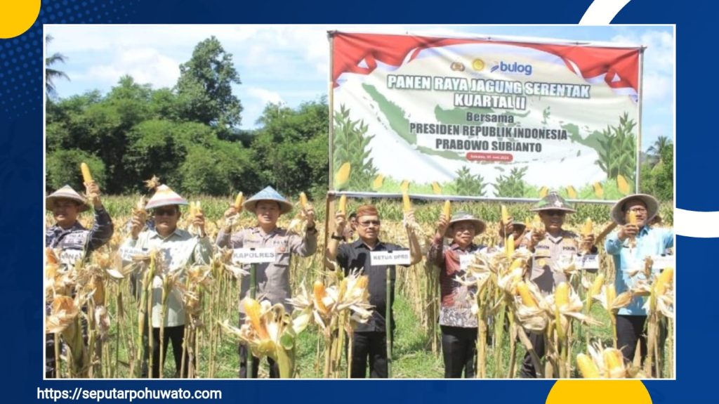 Wakapolda Brigjen Pol Simzon Zet Ringu Ikuti Panen Raya Jagung Serentak dan Ground Breaking Gudang Penyimpanan Secara Virtual