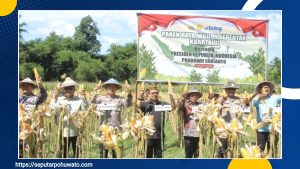 Wakapolda Brigjen Pol Simzon Zet Ringu Ikuti Panen Raya Jagung Serentak dan Ground Breaking Gudang Penyimpanan Secara Virtual