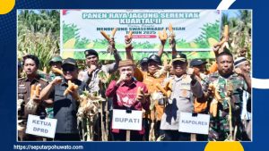 Panen Raya Jagung di Randangan, Bupati Saipul Mbuinga: Ini Kontribusi Nyata untuk Asta Cita