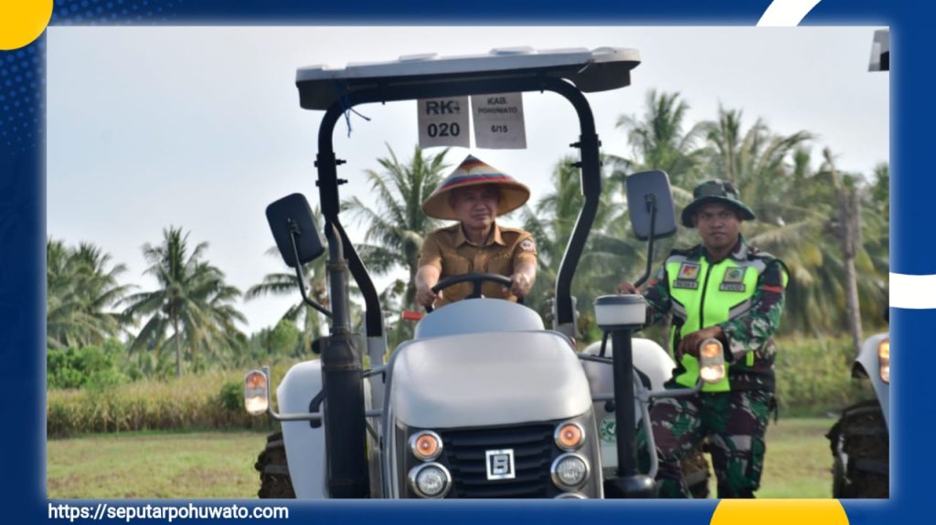 Pohuwato Jadi Daerah Tertinggi Capai Target Padi Gogo di Provinsi Gorontalo