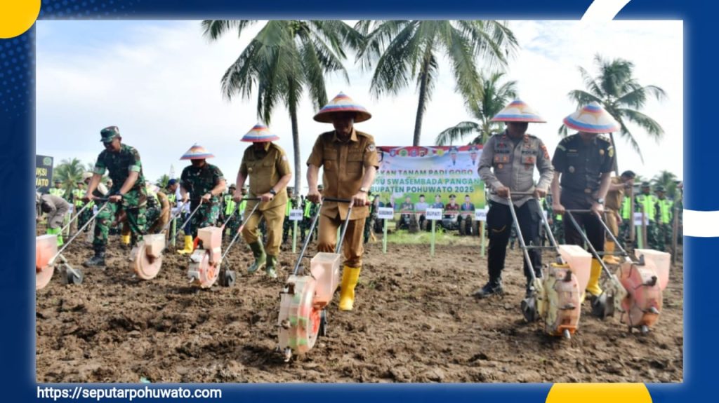 Lewat Gerakan Tanam Padi dan Jagung, Pohuwato Targetkan Swasembada Pangan 2025