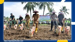Lewat Gerakan Tanam Padi dan Jagung, Pohuwato Targetkan Swasembada Pangan 2025