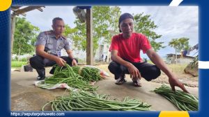 Sayur dari Balik Jeruji, Penjual Keliling Salurkan Hasil Pertanian Warga Binaan Lapas Pohuwato