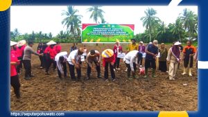 Wujudkan Swasembada Pangan, Kapolres dan Ketua Bhayangkari Pohuwato Tanam Jagung Bareng Petani