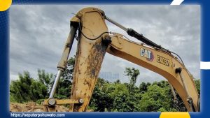 Ekosistem Terancam! Cagar Alam Tomula Diacak-Acak Tambang Ilegal: Ada Sianida, Ada Daeng Edi