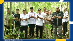 Relokasi Burung Maleo di Pohuwato Berhasil, 10 Ekor Dilepas ke Alam Liar