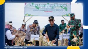 Panen Raya Jagung Serentak, Wabup Iwan Harap Ada Pabrik Pengolahan di Pohuwato