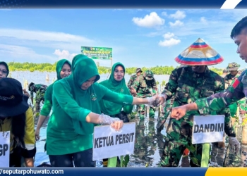 Dandim 1313 Pohuwato Letkol Inf Madiyan Surya bersama Ketua Persit Kartika Chandra (KCK) menanam mangrove, di Hutan Lindung Desa Palopo, Kecamatan Marisa, Jum'at (03/10/2025).
