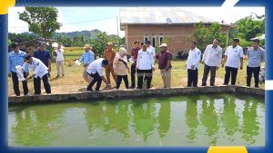 Manfaatkan Pekarangan Rumah, GEBRAK IKAN Jadi Inovasi Dinas Perikanan Pohuwato