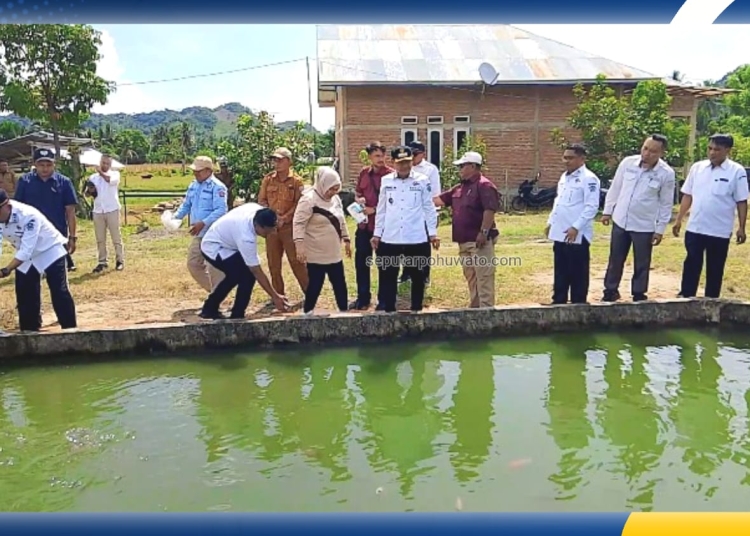 Bupati Saipul Mbuinga dan Wabup Iwan Adam saat melakukan penebaran benih ikan nila pada kolam ikan skala rumah tangga sebagai pencanangan secara simbolis Gebrak Ikan, Selasa (16/12/2025) Foto: dok. Kris