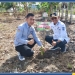 Pimpinan Cabang Bank SulutGo (BSG) Marisa, Zulhijas A Rasyid saat melakukan penanaman pohon di Dengilo Hijau Bersih dan Asri, kawasan kantor Camat Dengilo lokasi pencanangan Gerbang Pohuwato SIAAP Gerakan Pembangunan Pohuwato Sehat, Hijau, Handal, Agamis, Produktif), Selasa (16/12/2025) Foto: Kris