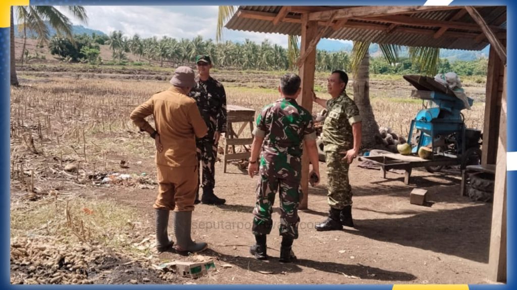 TNI Kawal Program Cetak Sawah, Kapoksahli Pangdam XIII/Merdeka Turun Langsung ke Desa Molotohu Selatan