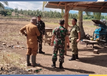 Kapoksahli Pangdam XIII/Merdeka, Brigjen TNI Saptono Syiwarudi, saat meninjau progres perluasan area tanam melalui program Cetak Sawah di Desa Molotohu Selatan, Kecamatan Randangan, Kabupaten Pohuwato, Senin (29/12/2025).