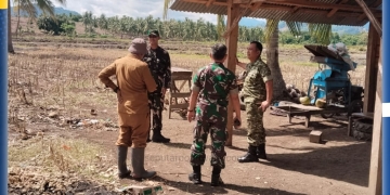 Kapoksahli Pangdam XIII/Merdeka, Brigjen TNI Saptono Syiwarudi, saat meninjau progres perluasan area tanam melalui program Cetak Sawah di Desa Molotohu Selatan, Kecamatan Randangan, Kabupaten Pohuwato, Senin (29/12/2025).