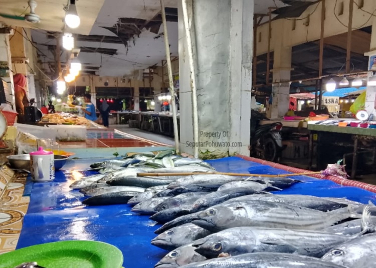 Pedagang ikan di Pasar Rakyat Marisa sedang menunggu pembeli, Jum'at (16/01/2026). Sejak ditertibkan nya aktivitas pertambangan tersebut pendapatan pedagang menurun drastis (SeputarPohuwato.com/Kris)