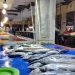 Pedagang ikan di Pasar Rakyat Marisa sedang menunggu pembeli, Jum'at (16/01/2026). Sejak ditertibkan nya aktivitas pertambangan tersebut pendapatan pedagang menurun drastis (SeputarPohuwato.com/Kris)