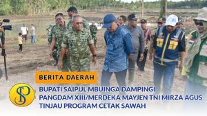 Bupati Saipul Dampingi Pangdam XIII/Merdeka Tinjau Program Cetak Sawah