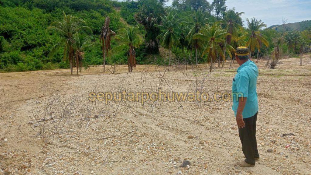 Kebun Warisan untuk Anak Cucunya Rusak, Korban Sedimentasi Tambang Bulangita Ngamuk Minta Ganti Rugi Rp200 Juta