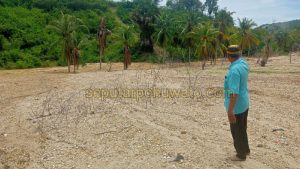 Kebun Warisan untuk Anak Cucunya Rusak, Korban Sedimentasi Tambang Bulangita Ngamuk Minta Ganti Rugi Rp200 Juta