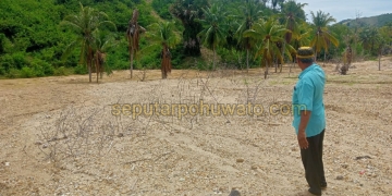 Lahan kebun milik NA seluas kurang lebih 2 hektare rusak parah akibat buangan sedimen dari aktivitas tambang emas tanpa izin (PETI).