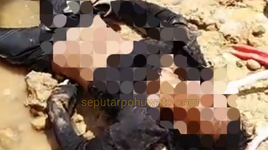 Pemuda 18 Tahun Tewas Tertimbun di Tambang Ilegal Pohuwato, Saksi yang Tunjukkan Lokasi Malah Menghilang
