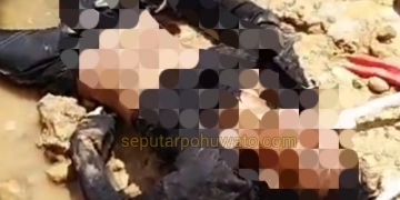 Foto: Seorang pemuda bernama Mahmud Lihawa (18), saat ditemukan tewas mengenaskan setelah tertimbun tanah di sebuah lokasi tambang Bulangita, Kamis (05/03/2026). Dok. Istimewa