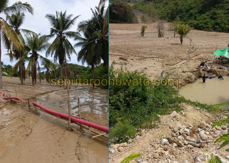 Foto: Lahan milik NA yang dirusak oleh oknum pelaku tambang Ilegal Bulangita berinisial KH. (Dok. Istimewa)