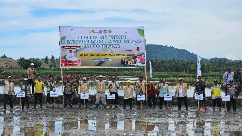 Tanam Padi 10.000 Hektar di Pohuwato Dimulai, Wagub Gorontalo Turun Tangan, Target 80 Persen Akhir April