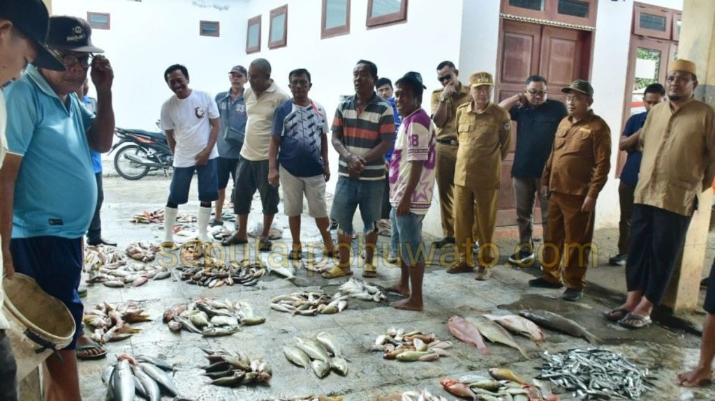 Bukan Sekadar Tempat Pelelangan Ikan, Kawasan Paguat Disiapkan Jadi Kampung Nelayan Modern