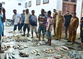 Bupati Pohuwato Saipul Mbuinga saat mendampingi tim KKP RI bersama Kadis Perikanan Refli Basir, di TPI Paguat, Senin (13/04/2026).