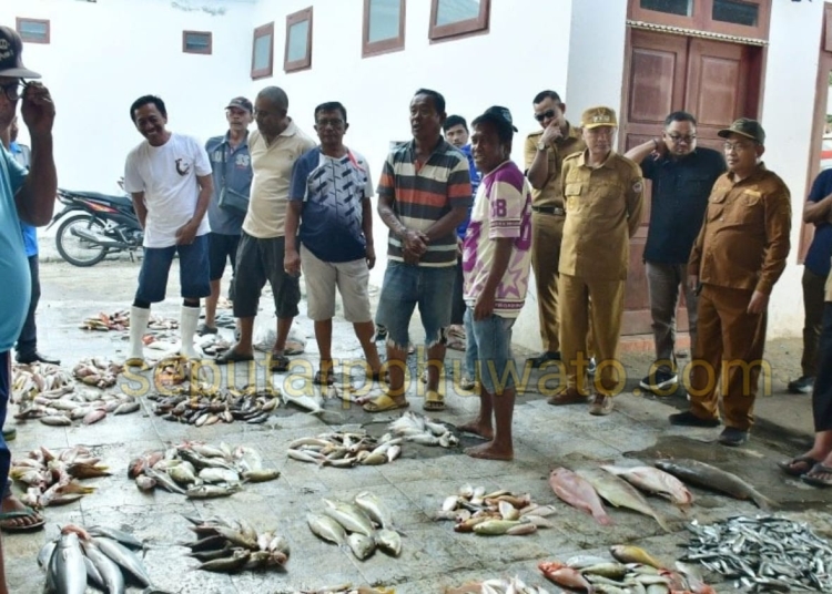 Bupati Pohuwato Saipul Mbuinga saat mendampingi tim KKP RI bersama Kadis Perikanan Refli Basir, di TPI Paguat, Senin (13/04/2026).