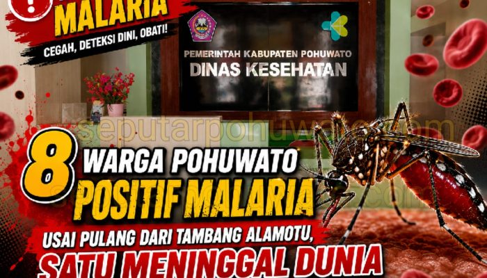 8 Warga Pohuwato Positif Malaria Usai Pulang dari Tambang Alamotu, Satu Meninggal Dunia
