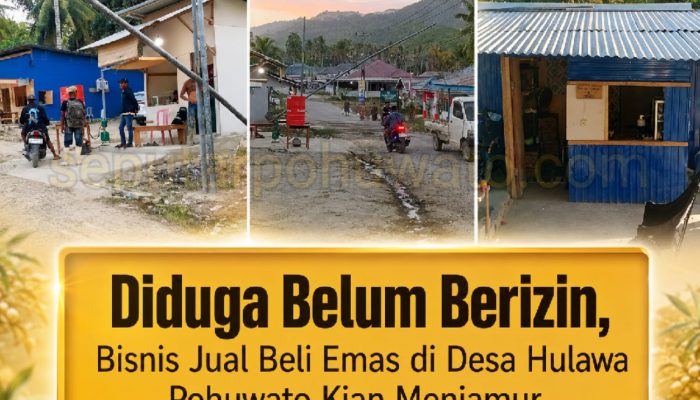 Diduga Belum Berizin, Bisnis Jual Beli Emas di Desa Hulawa Pohuwato Kian Menjamur