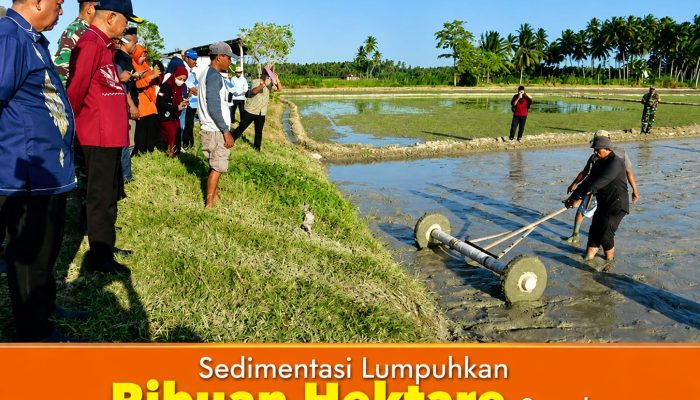 Sedimentasi Lumpuhkan Ribuan Hektare Sawah, Begini Langkah Bupati Pohuwato Mengatasinya