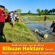 Sedimentasi Lumpuhkan Ribuan Hektare Sawah, Begini Langkah Bupati Pohuwato Mengatasinya