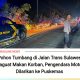 Pohon Tumbang di Jalan Trans Sulawesi Paguat Makan Korban, Pengendara Motor Dilarikan ke Puskesmas