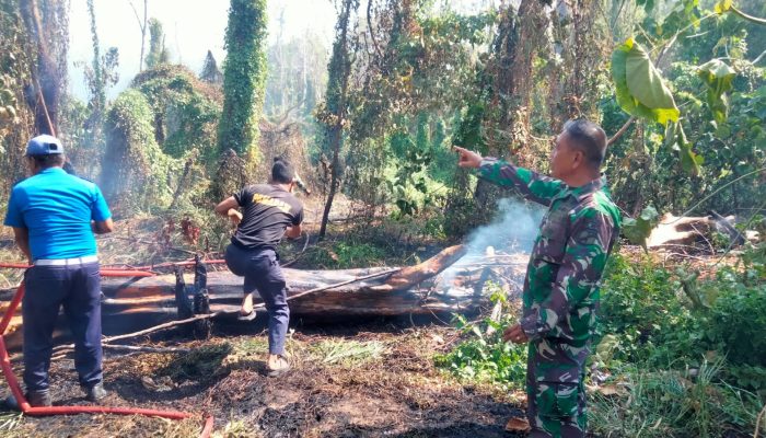 Diduga Akibat Sampah Dibakar Lalu Ditinggal, Lahan di Kawasan Hutan Lindung Pohuwato Terbakar