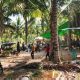 Diduga Jadi Arena Sabung Ayam, Lokasi di Desa Maleo Pohuwato Ditertibkan Polisi