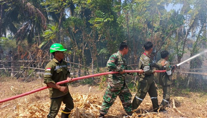 Api Meluas di Desa Maleo Pohuwato, Babinsa, Damkar dan Warga Bergerak Padamkan Kebakaran