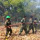 Api Meluas di Desa Maleo Pohuwato, Babinsa, Damkar dan Warga Bergerak Padamkan Kebakaran