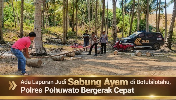 Ada Laporan Judi Sabung Ayam di Botubilotahu, Polres Pohuwato Bergerak Cepat